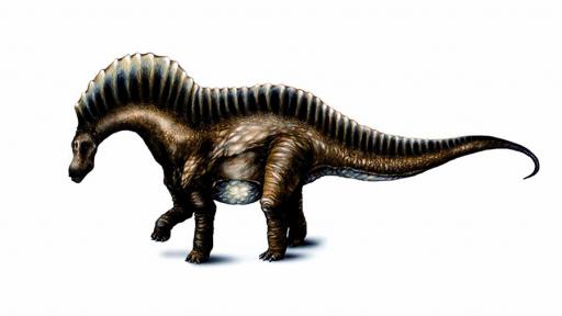 Depredadores adaptaron las cuencas oculares a su mordida