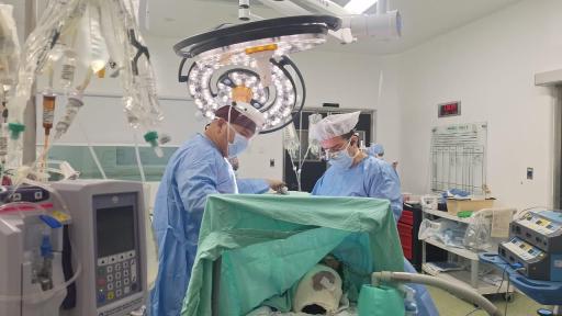 Día Mundial de la Donación de Órganos y Tejidos 2025