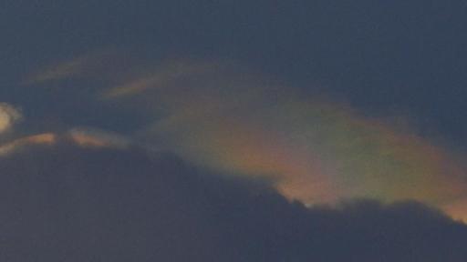 Mira la película “El Origen de las Especies”: horarios, precios