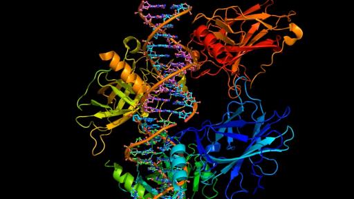 El estrés prolongado podría contribuir de manera directa a la aparición y la progresión del cáncer