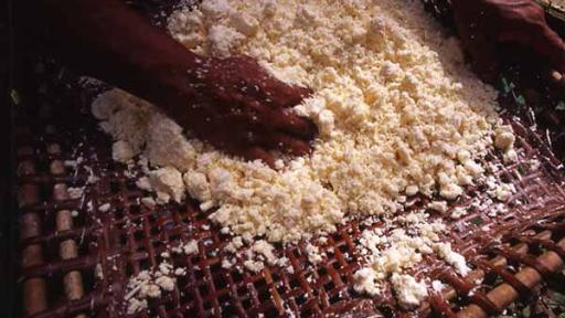 Rescate en la selva: la fariña, el alimento que permitió la supervivencia de niños en la selva