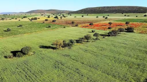 Beneficios de devolver la biodiversidad al campo