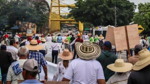 Conclusiones de reunión entre gremios arroceros del Tolima y Huila con el Gobierno nacional