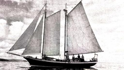 Alemanes en Colombia | Ataque nazi a embarcación colombiana