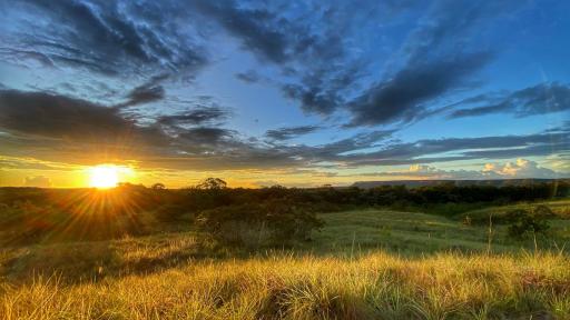 Zonas de Reserva Campesina en La Macarena, Meta, un proyecto que avanza a paso firme