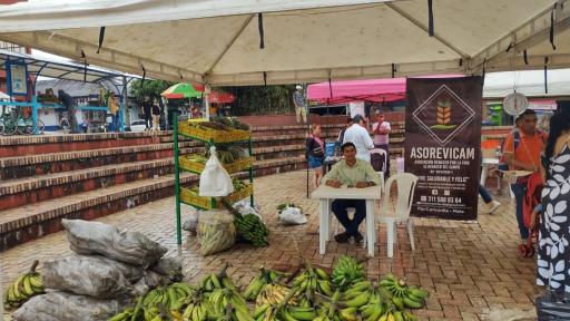 Asociaciones campesinas en el sur del Meta: una opción incluyente para los campesinos del territorio 