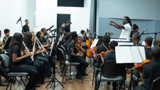 Fundación VIVEARTE Buenaventura