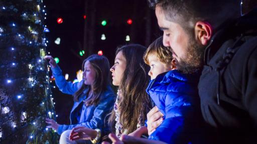 Descubre la historia detrás de la novena de aguinaldos | Colombia y América latina