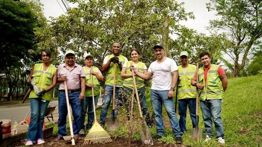 Hotel de Insectos en el Valle del Cauca: Promoviendo la conservación y la biodiversidad