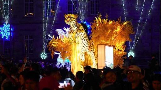 Planes culturales para terminar 2024 en Colombia