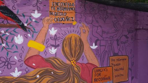 Sistema de Búsqueda de Personas: ley que protege madres buscadores 