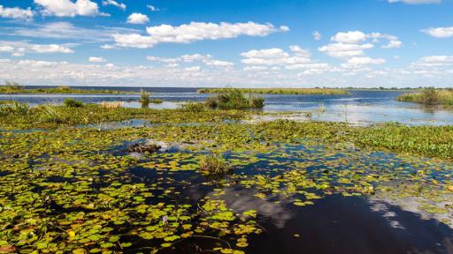 Humedales al UNPRG: Aprobado proyecto en el Senado
