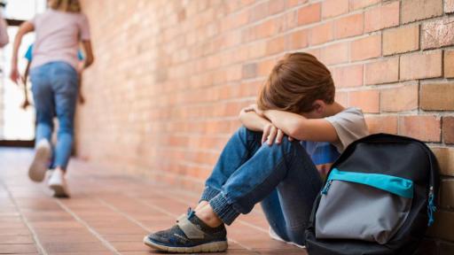 Fallo de Corte Constitucional sobre acoso escolar 