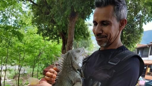 Tiktoker que cuida iguanas en Santander: Albeiro Sánchez