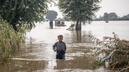 Día Mundial del Control de la Calidad del Agua: crisis hídrica amenaza a 3.600 millones de personas