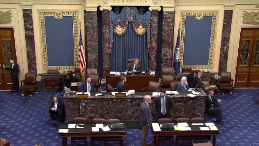 Senado de Estados Unidos, resolución sobre Venezuela, operaciones militares no autorizadas