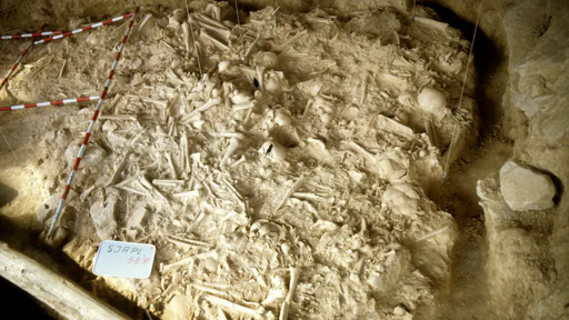 Investigación prueba que la guerra en Europa tiene más de 5 mil años