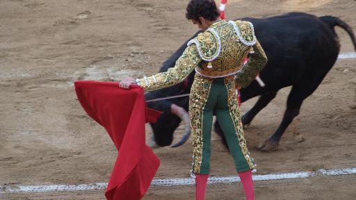 Corridas de toros en Colombia 2024: regulación
