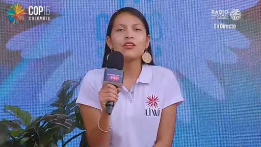 Laura Gabriela Carianil, vocera de la empresa LIWI.