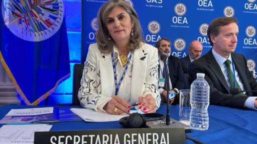 Laura Gil, nueva secretaria adjunta de la OEA