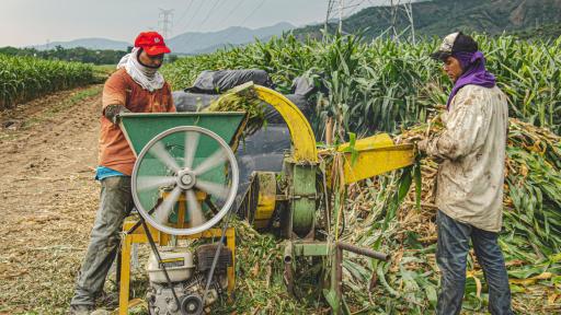 Línea Especial de Crédito para campesinos Banco Agrario 