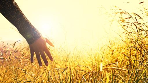 Promotores de la paz en los territorios de Colombia