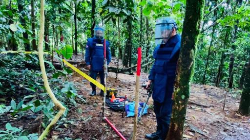 Minas antipersonal: cifra de víctimas en Colombia