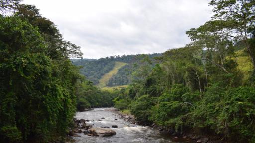 Miravalle: Firmantes de paz denuncian amenazas