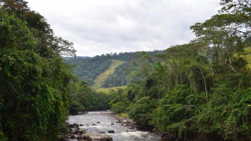 Amenazas a firmantes de paz de ETCR Miravalle
