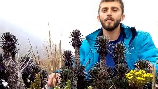 Montañista murió en el Nevado del Tolima