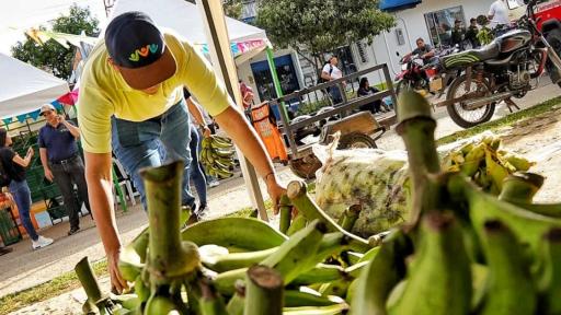 Mercado campesino en el Meta