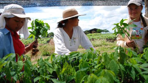 Día internacional de la Mujer Rural | Celebración en Colombia