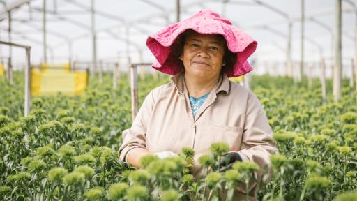 Senado aprueba ley para fortalecer derechos de mujeres rurales 