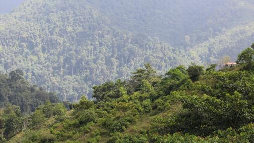 Cristin Ranoqué, bebé perdida en la selva, cumple su primer año de vida 