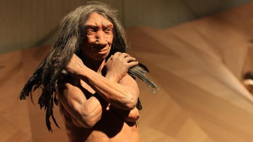  Neandertales y humanos coexistieron durante más de dos mil años