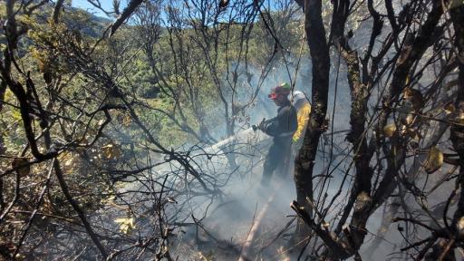 Incendios forestales en Bogotá y Cundinamarca: declaran calamidad pública