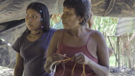 Los Nukak: Desafíos y llamado urgente por la defensa de sus derechos