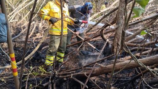 Incendios forestales en Vía Parque Isla Salamanca