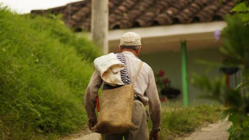 Avances de la lucha campesina en Colombia