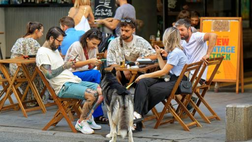 Lugares pet friendly Bogota y Colombia 2023