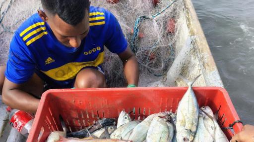 Pesca en altamar: riesgo en el Mar Caribe