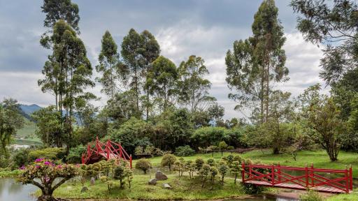Hacia el futuro verde con el turismo sostenible