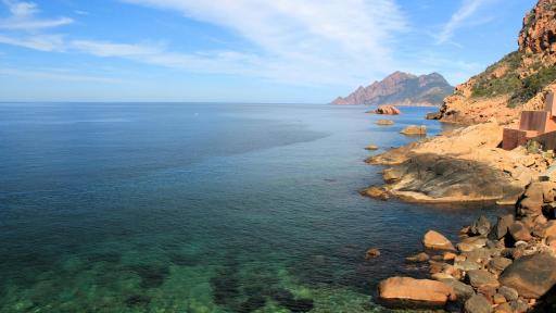 ¡Pon en práctica estas acciones para cuidar los océanos!