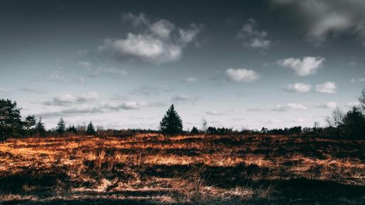 Sudamérica arde con los incendios forestales y el cambio climático