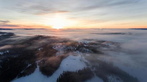 Día Mundial del Clima: por qué se celebra 26 de marzo