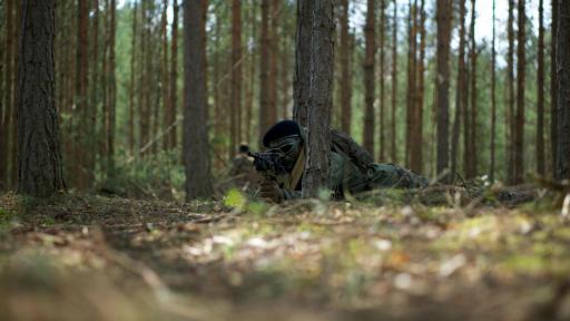 Naturaleza: Una víctima visible en las guerras