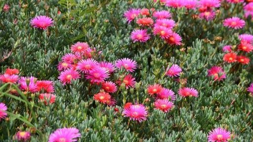 Exportaciones agro Colombia: récord en junio 2025 | Datos 