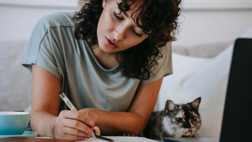 Todos a la U 2023: convocatoria, requisitos, fechas y beneficiarios 