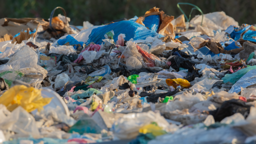 Eliminación plásticos de un solo uso Colombia | Multas