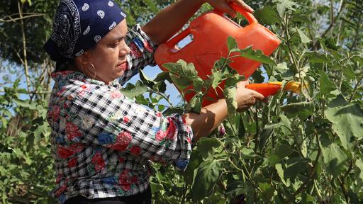 Campesinas emprendedoras en los Montes de María, Sucre